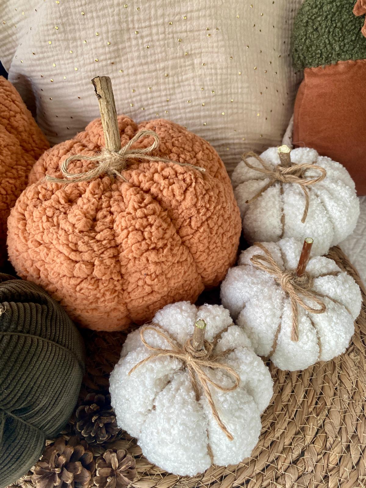 Citrouille décorative d'automne