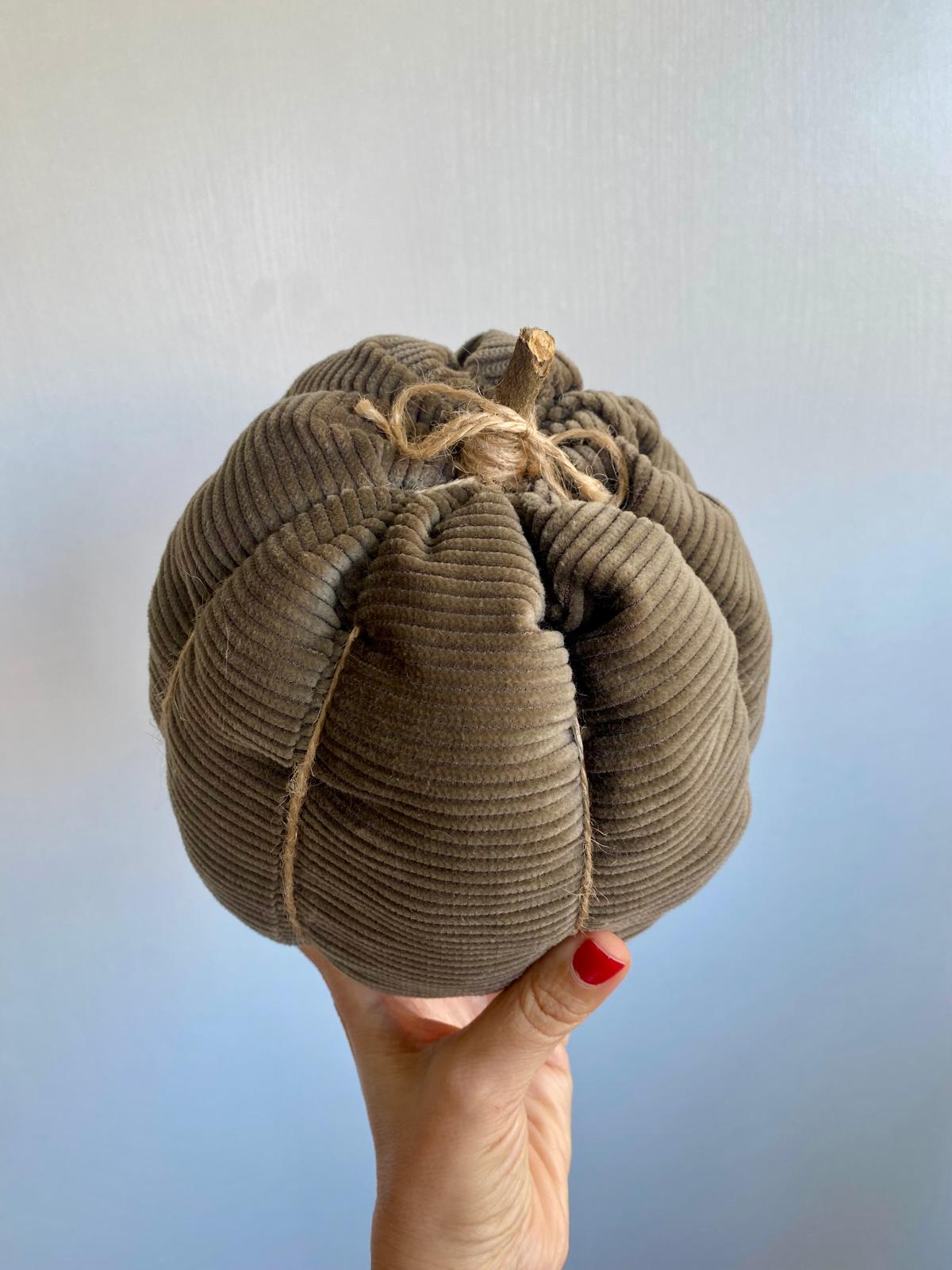 Citrouille décorative d'automne