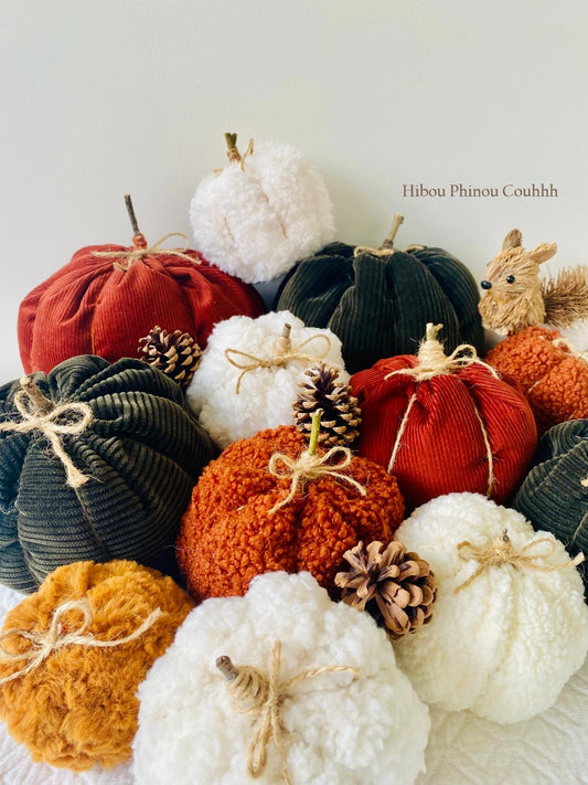 Citrouille décorative d'automne