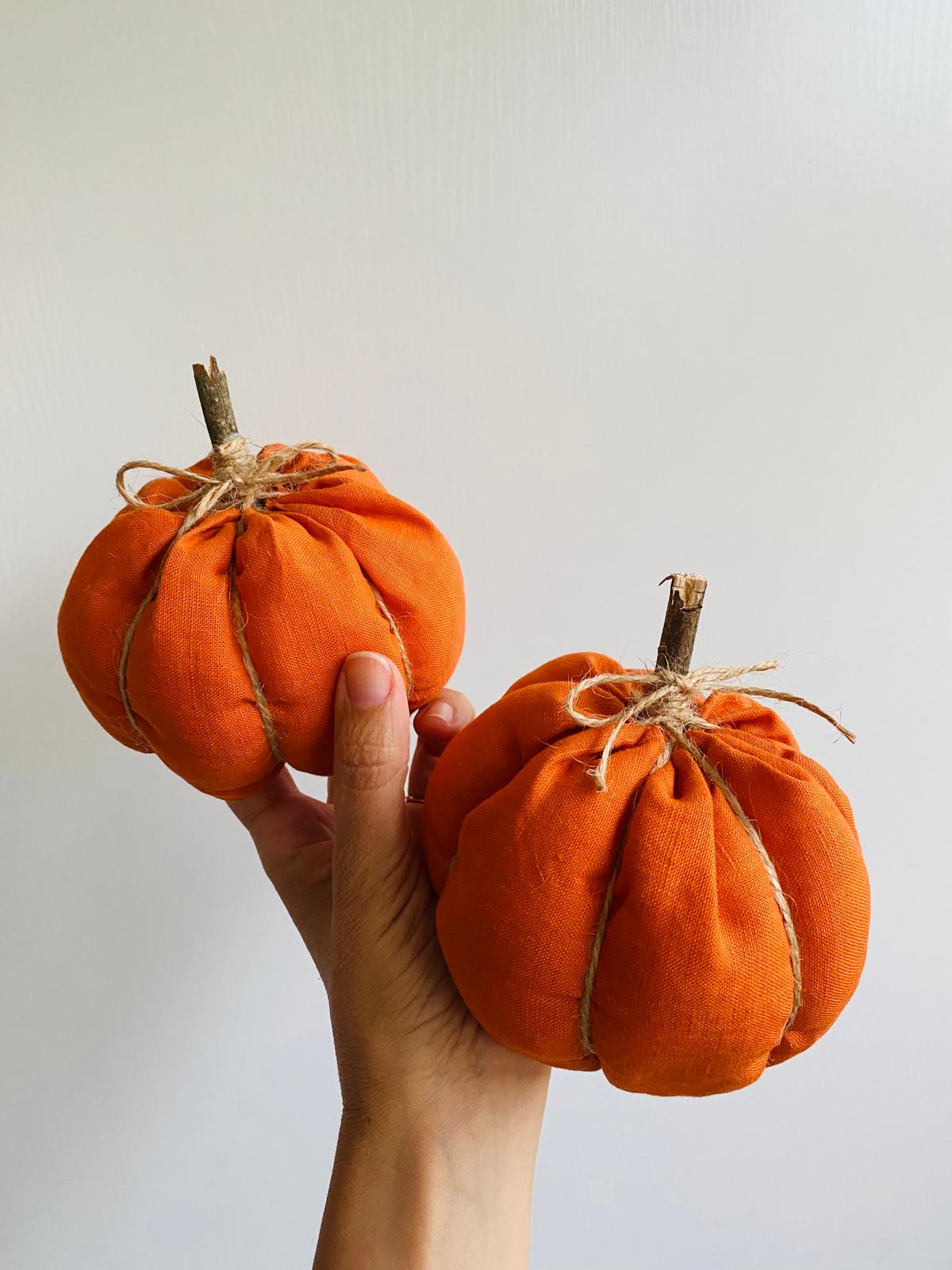 Citrouille décorative d'automne