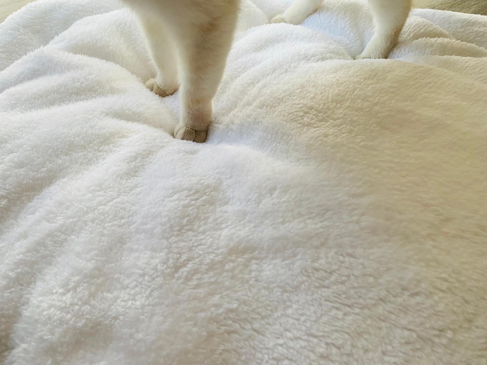 Coussin - panier moelleux pour chat